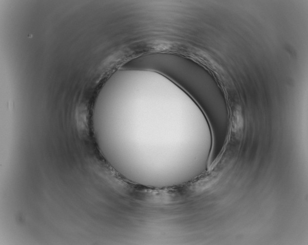 X0000111190524200907011011