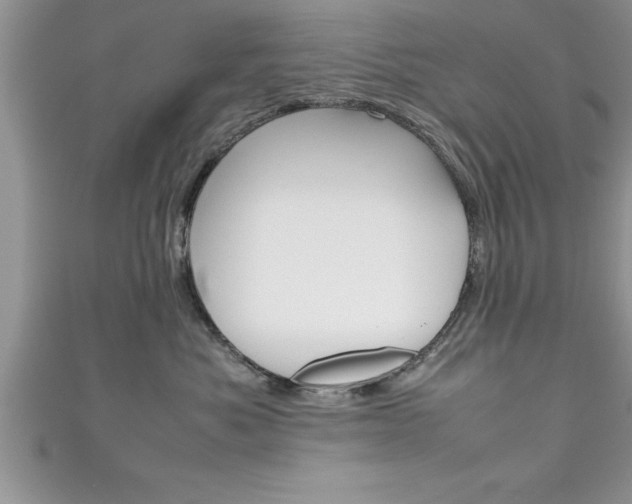 X0000111190525200907011011
