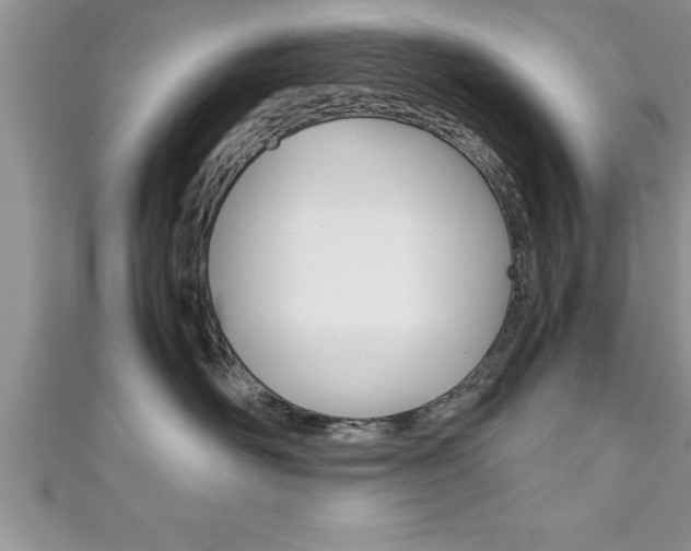 X0000111190526200907011011
