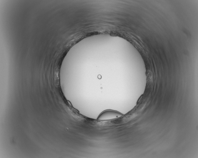 X0000111190527200907011011