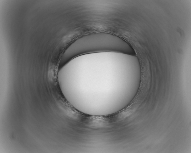 X0000111190528200907011011