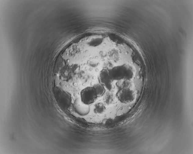 X0000111190529200907011011
