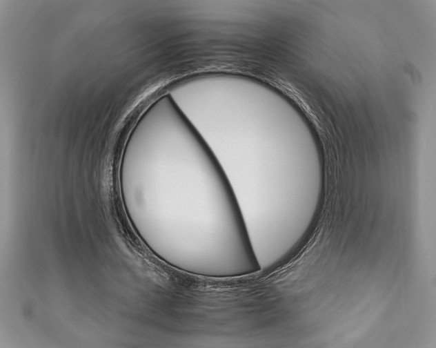 X0000111190531200907011011