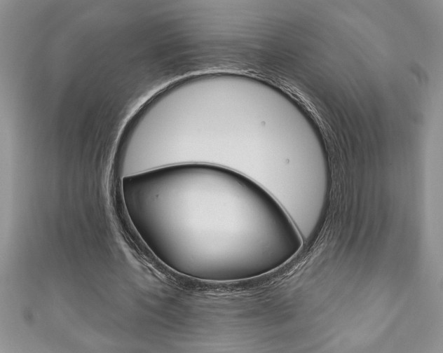 X0000111190532200907011011
