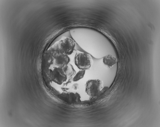X0000111190533200907011011