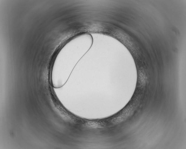 X0000111190534200907011011