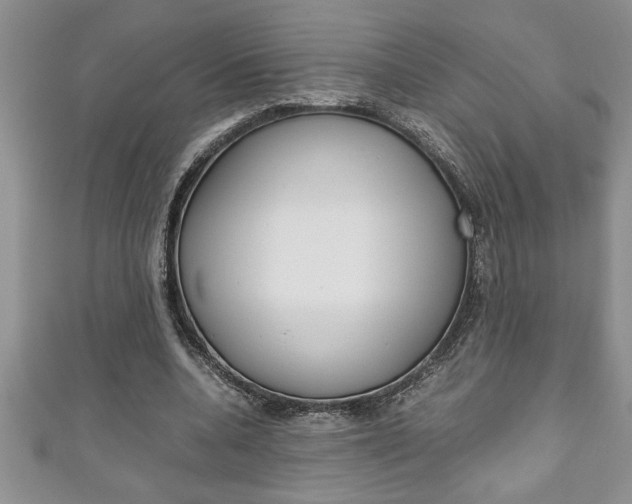 X0000111190536200907011011