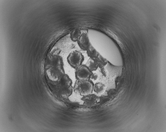 X0000111190537200907011011