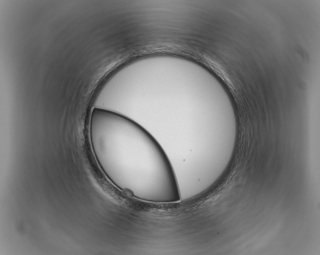 X0000111190538200907011011