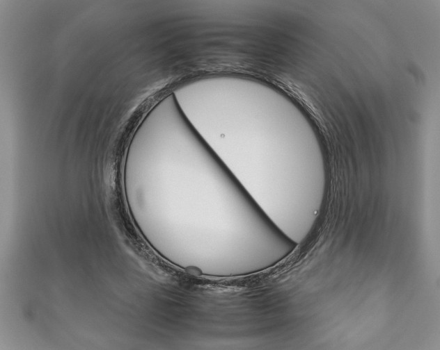 X0000111190539200907011011
