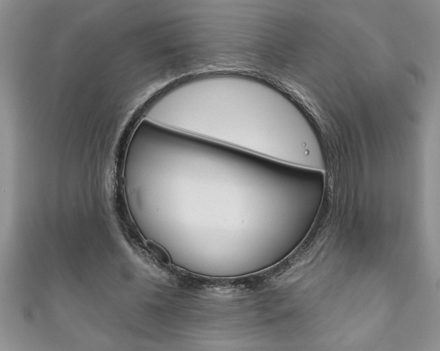 X0000111190540200907011011