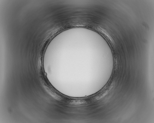 X0000111190541200907011011