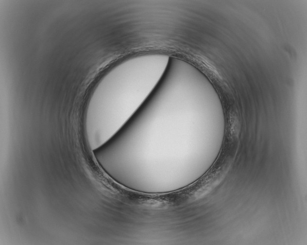 X0000111190542200907011011
