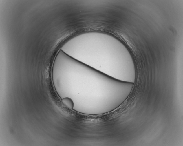 X0000111190543200907011011