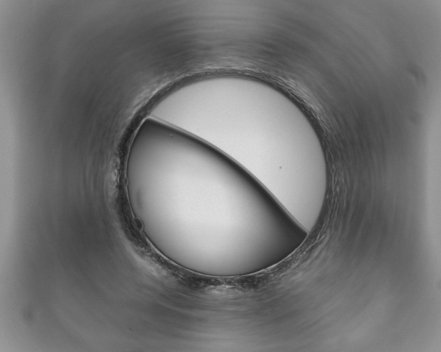 X0000111190544200907011011