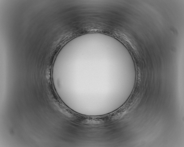 X0000111190545200907011011