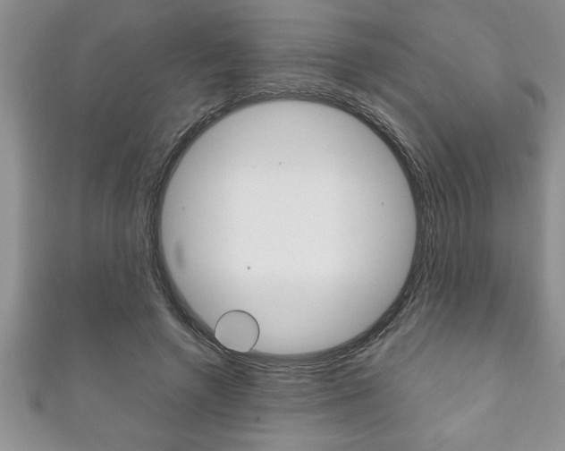 X0000111190546200907011011