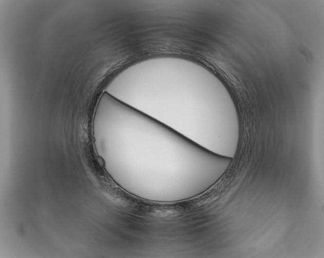 X0000111190547200907011011