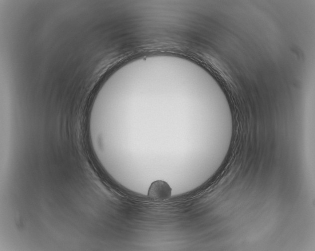 X0000111190548200907011011