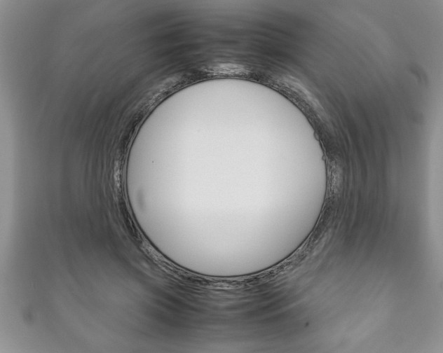 X0000111190549200907011011