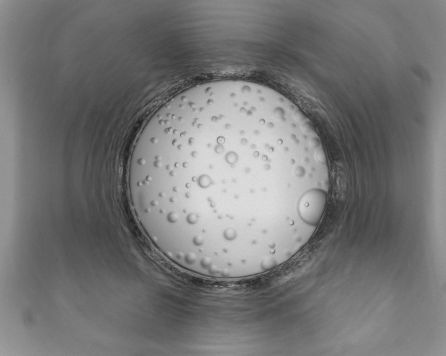 X0000111190550200907011011