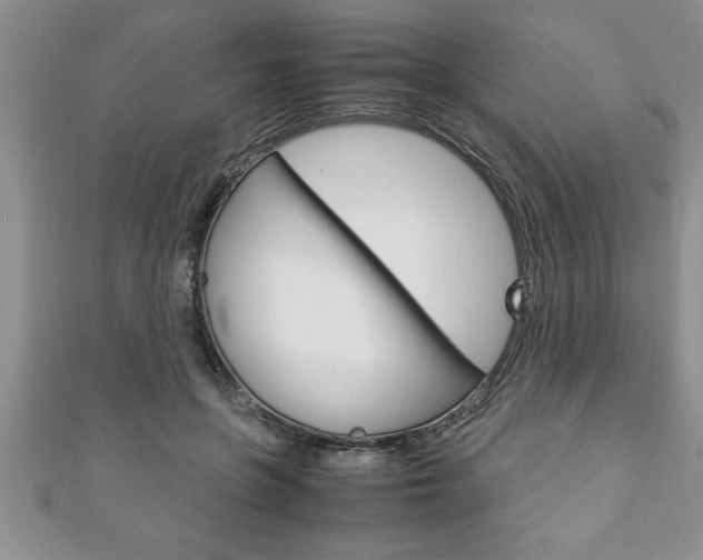 X0000111190551200907011011