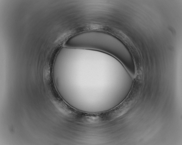 X0000111190552200907011011