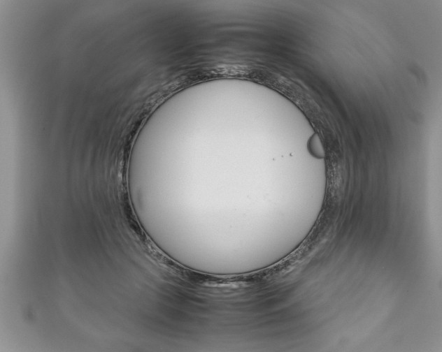 X0000111190553200907011011