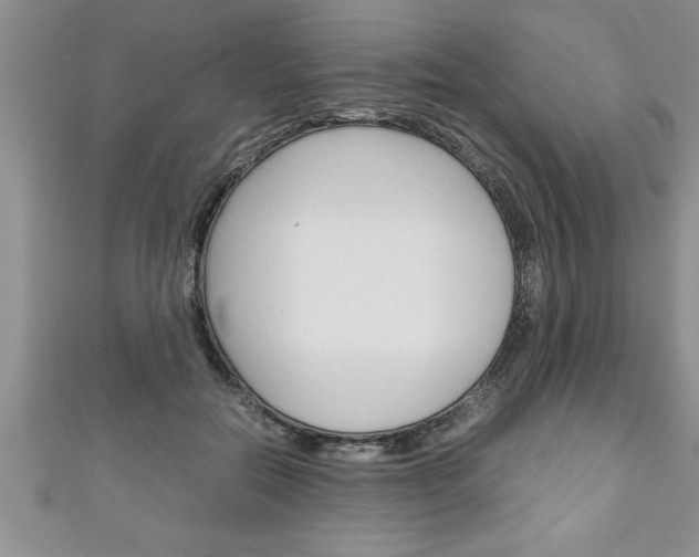 X0000111190554200907011011