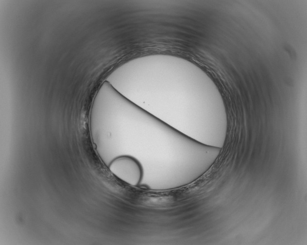 X0000111190555200907011011