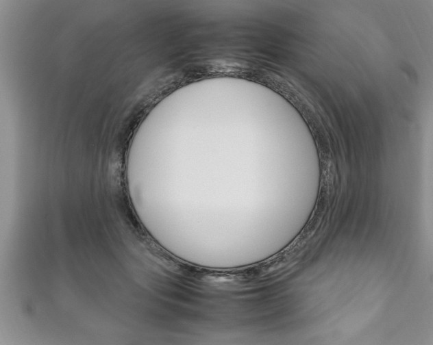 X0000111190557200907011011