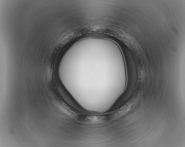 X0000111190558200907011011