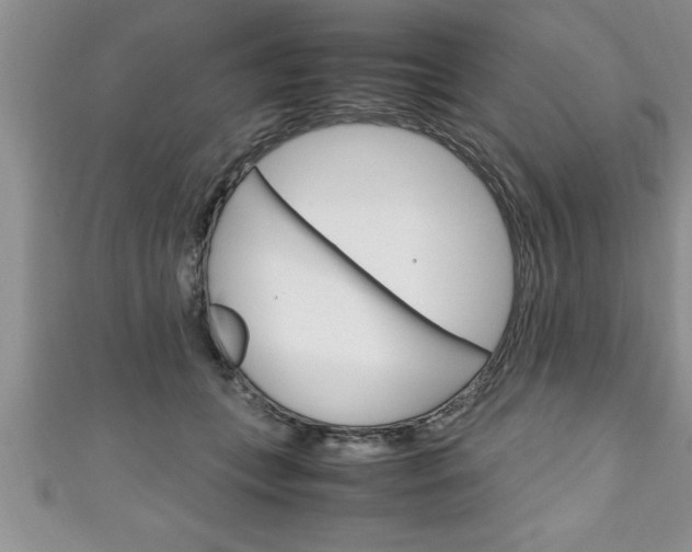 X0000111190559200907011011