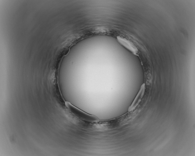 X0000111190560200907011011