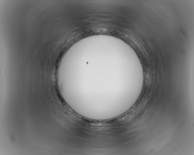 X0000111190561200907011011