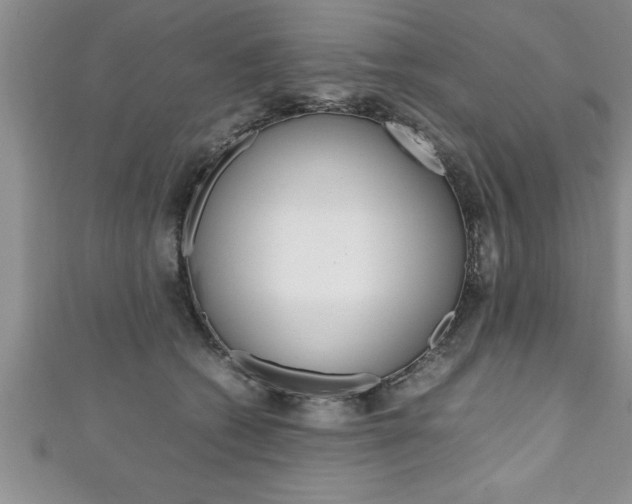 X0000111190562200907011011