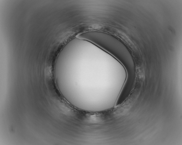 X0000111190564200907011011
