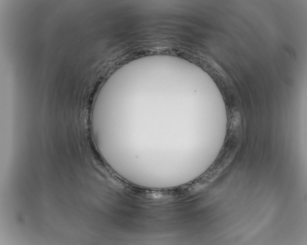 X0000111190565200907011011