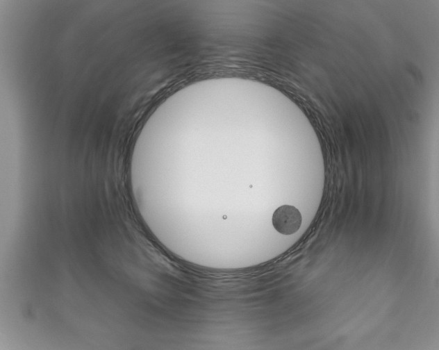 X0000111190566200907011011