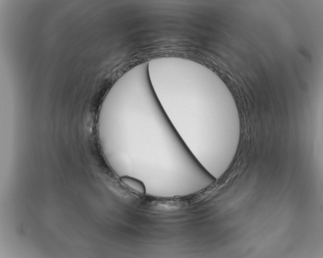 X0000111190567200907011011