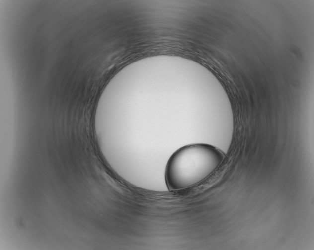 X0000111190568200907011011