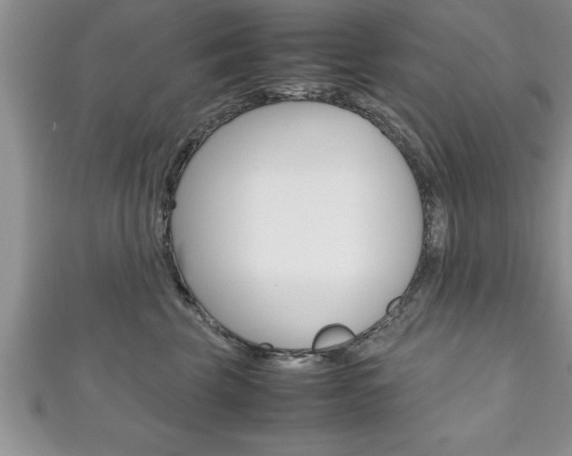 X0000111190569200907011011