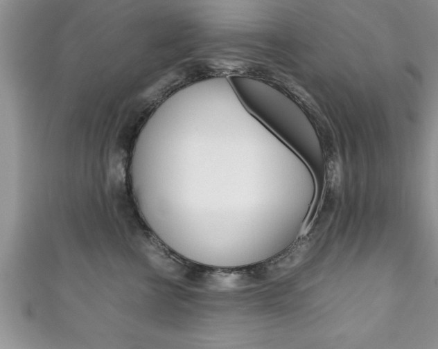 X0000111190570200907011011
