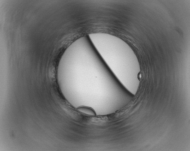 X0000111190571200907011011