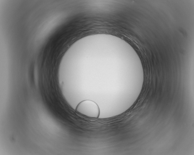 X0000111190572200907011011