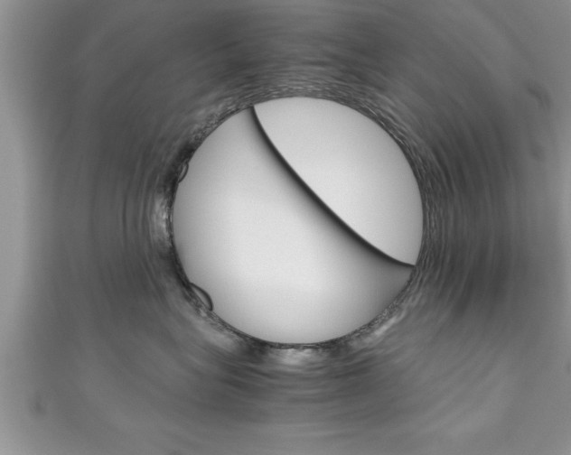 X0000111190575200907011011