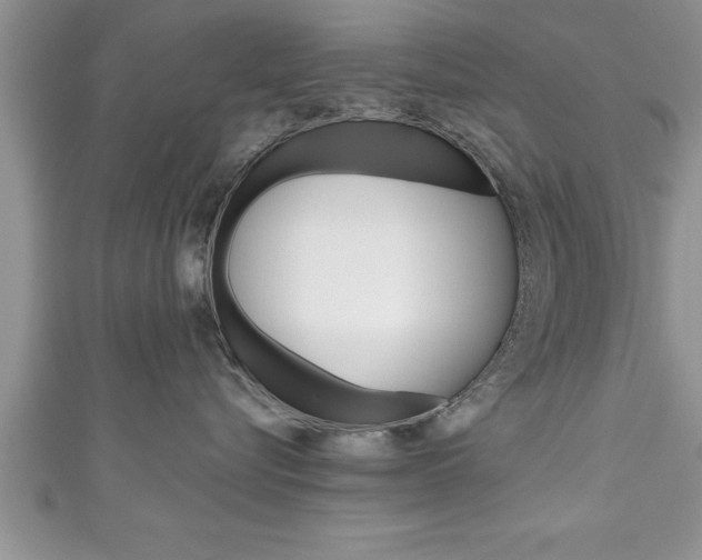 X0000111190576200907011011