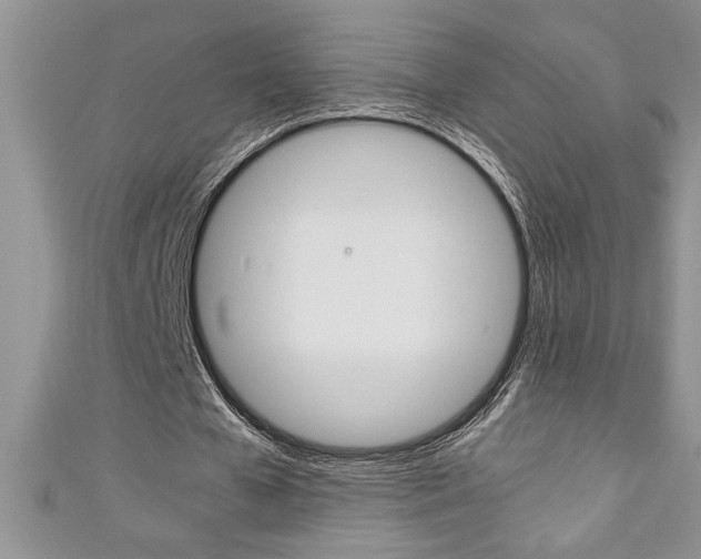 X0000111190577200907011011