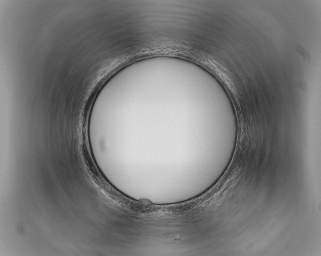 X0000111190578200907011011
