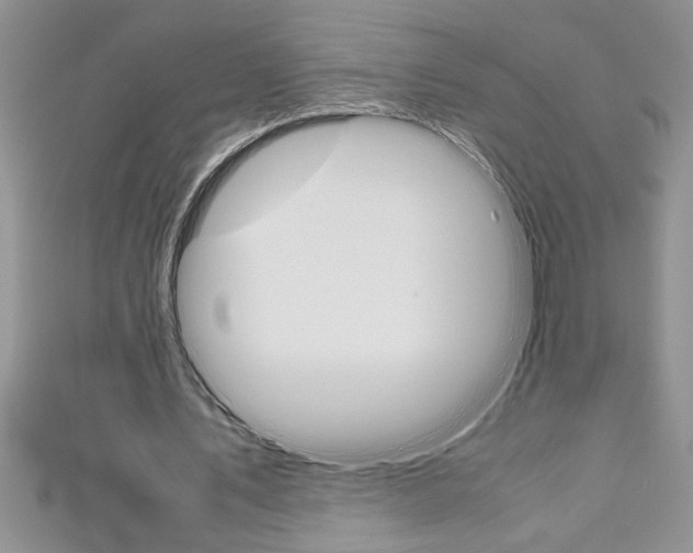 X0000111190579200907011011